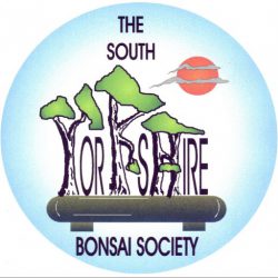 South Yorkshire Bonsai Society